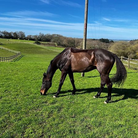 Byre - Farm Cottage On 9 Acre Equestrian Small Holding ซอลส์บรี ภายนอก รูปภาพ
