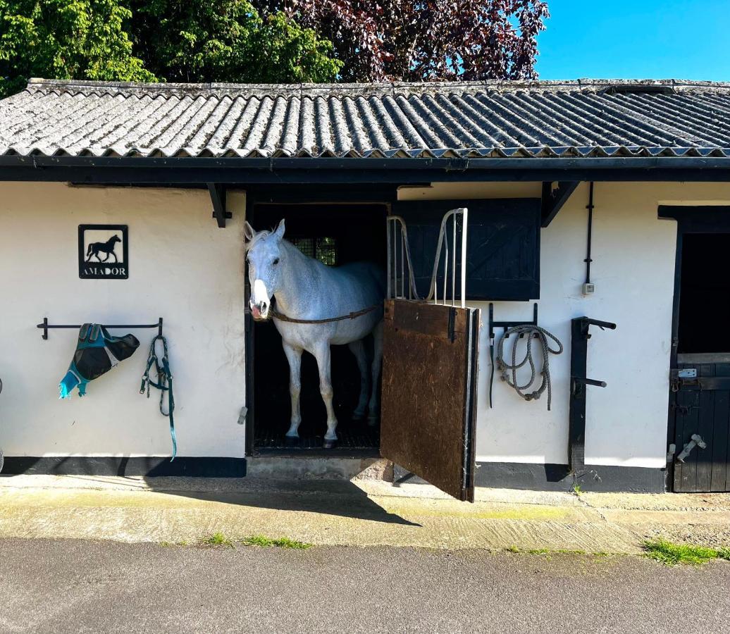 Byre - Farm Cottage On 9 Acre Equestrian Small Holding ซอลส์บรี ภายนอก รูปภาพ